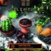 Купить Element Земля - Cactus Fig , 40 гр