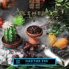 Купить Element Вода - Cactus Fig , 40 гр