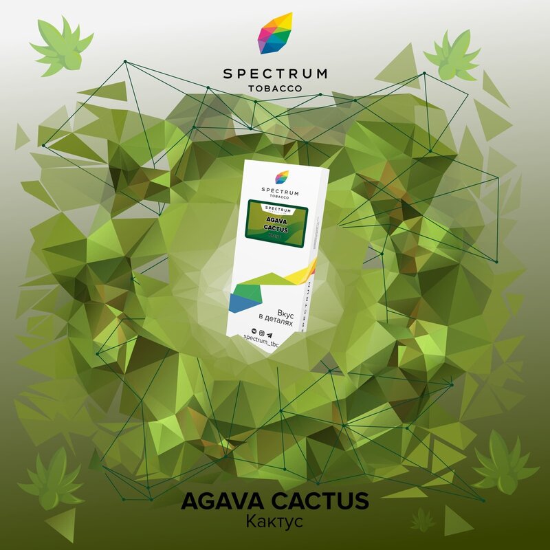Spectrum Agava Cactus (Кактус)