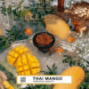 Купить Element Воздух - Thai Mango, 40 гр