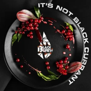 Табак для кальяна BlackBurn 100г — It’s Not Black Currant (Красная Смородина)