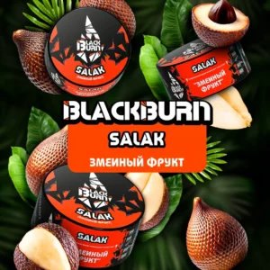 Табак для кальяна BlackBurn 25г — Salak (Змеиный фрукт)