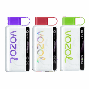 VOZOL 10000