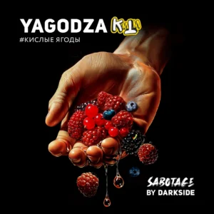 Табак для кальяна «Дарксайд» Саботаж (Ягодза), 30 г