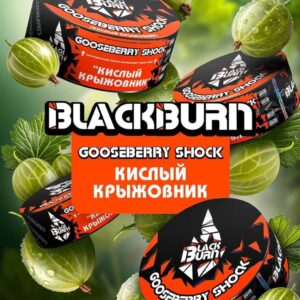 Табак для кальяна BlackBurn 25г — Gooseberry Shock (Кислый крыжовник)