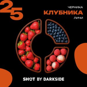 Табак для кальяна «Дарксайд» Шот (аромат клубника черника личи), 25 г